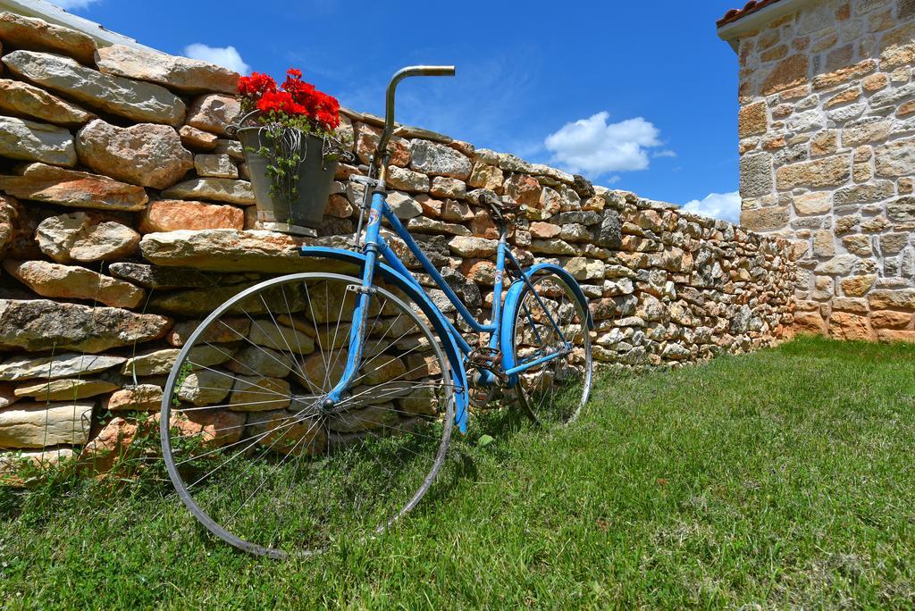 Rural House Kod Slapa Villa Bogatić Buitenkant foto